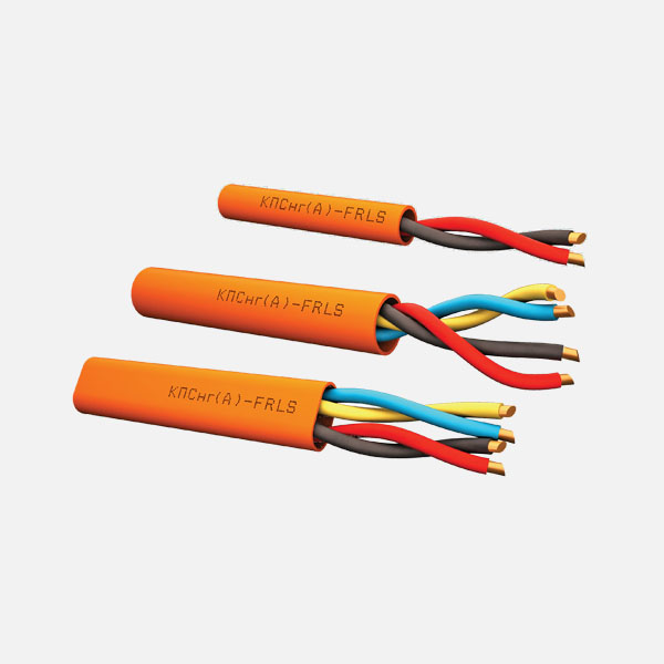 КПСнг(А)-FRLS 2х2х0,5 Длина бухты (м) 200 (Технокабель)