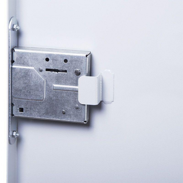 (04-2252) 19" Настенный шкаф REXANT "АНТИВАНДАЛЬНЫЙ" распашной 8U 600×400×450мм,(ШхГхВ) RAL 7035