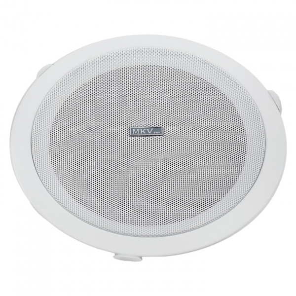PA-127 Громкоговоритель, потолочный