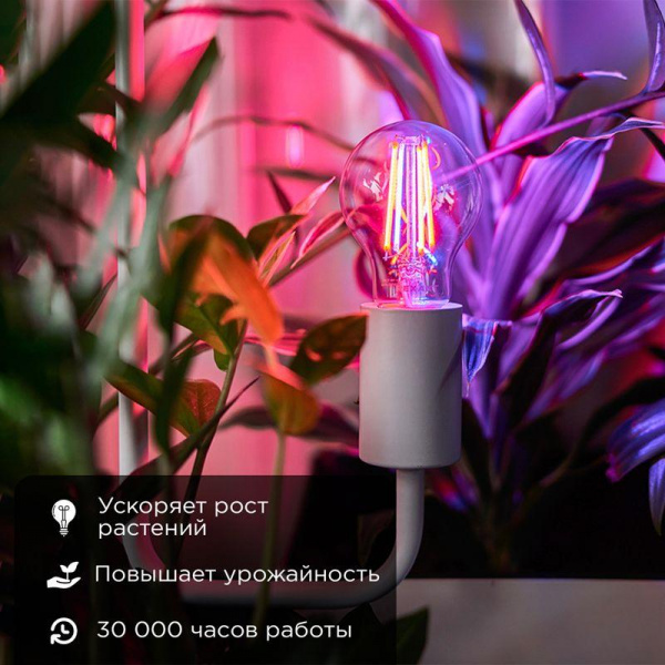 (604-146) Фитолампа филаментная для растений REXANT Груша A60 11.5 Вт 1150 Лм 0.25% Blue 440-470Nm  0.75% Red 630-670NmK E27 прозрачная колба