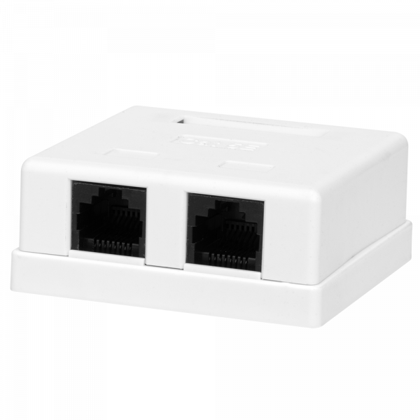 (10-0309-1) Компьютерная розетка 8P8C (RJ-45), UTP, 5e, 2 порта (DIY)