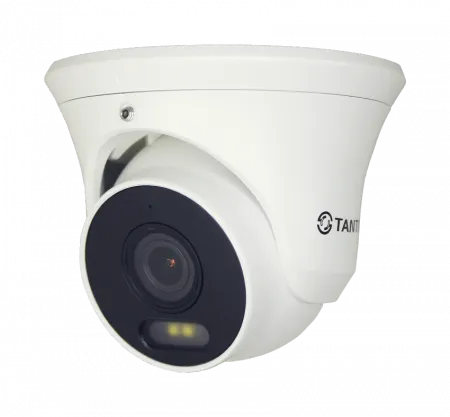TSi-Ee50FPN IP видеокамера уличная купольная