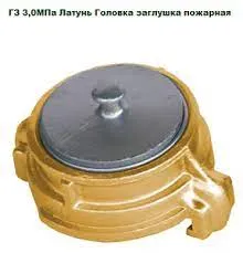 ГЗВ-100 3,0МПа Латунь